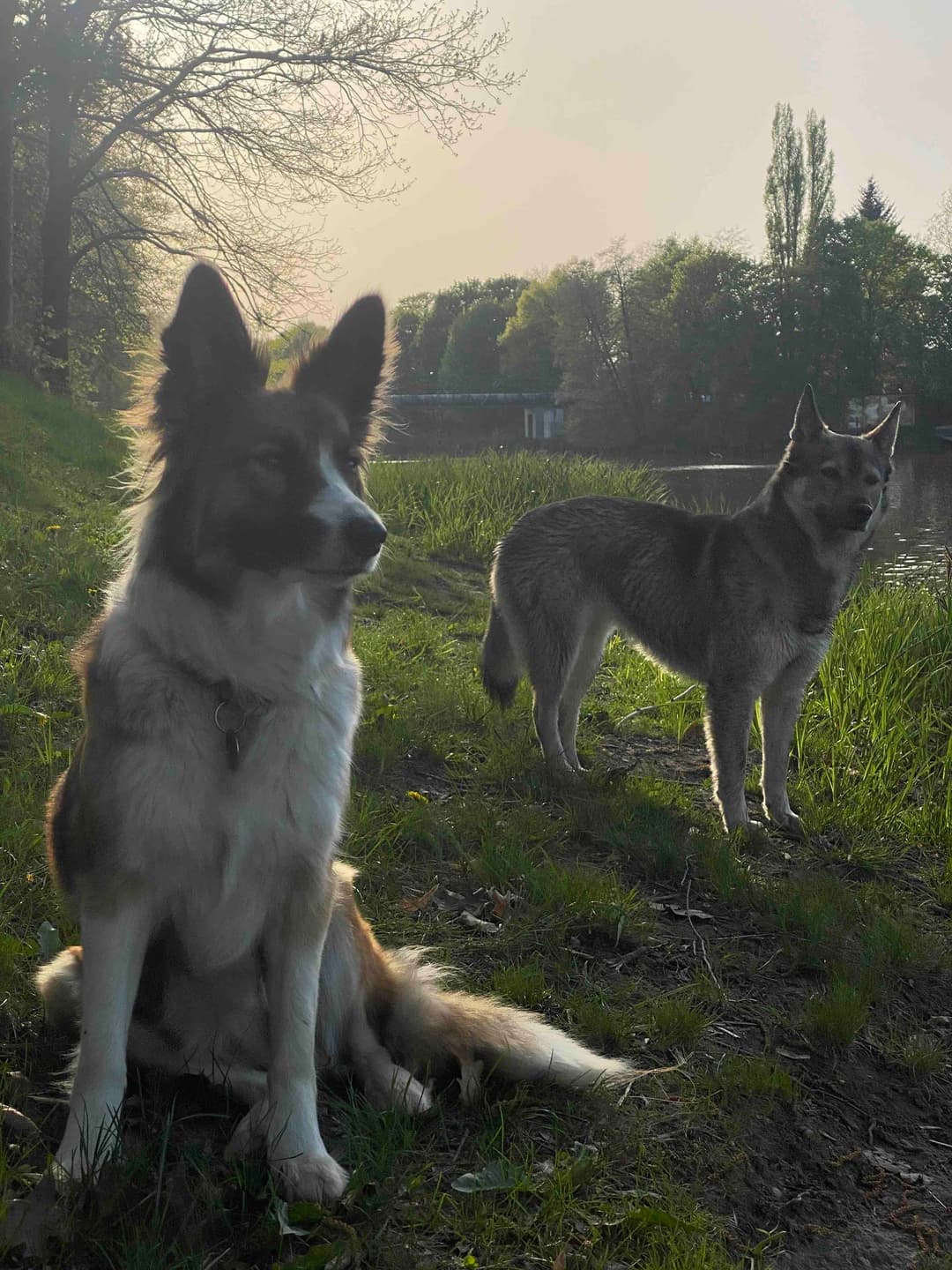 Fotografie: Ary a Rita